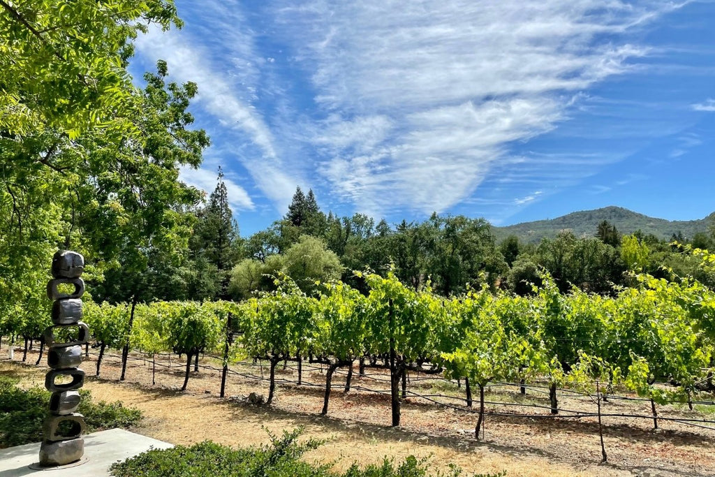 doppeltree-napa-valley