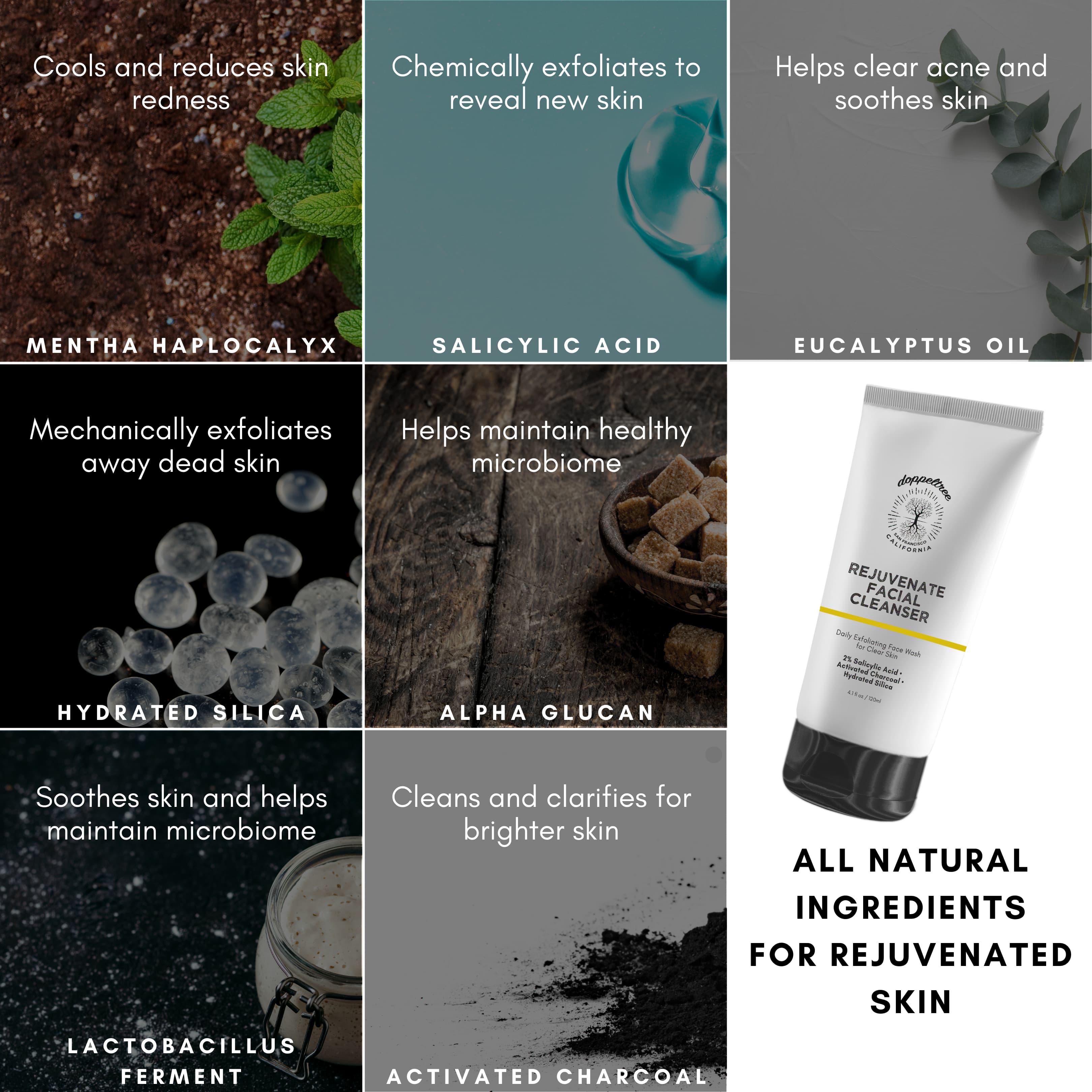 doppeltree rejuvenate facial cleanser - ingredients
